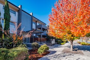 Preview image for 25/121 Easty Street, Phillip, ACT 2606