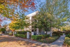 Preview image for 8/16 MacLeay Street, Turner, ACT 2612