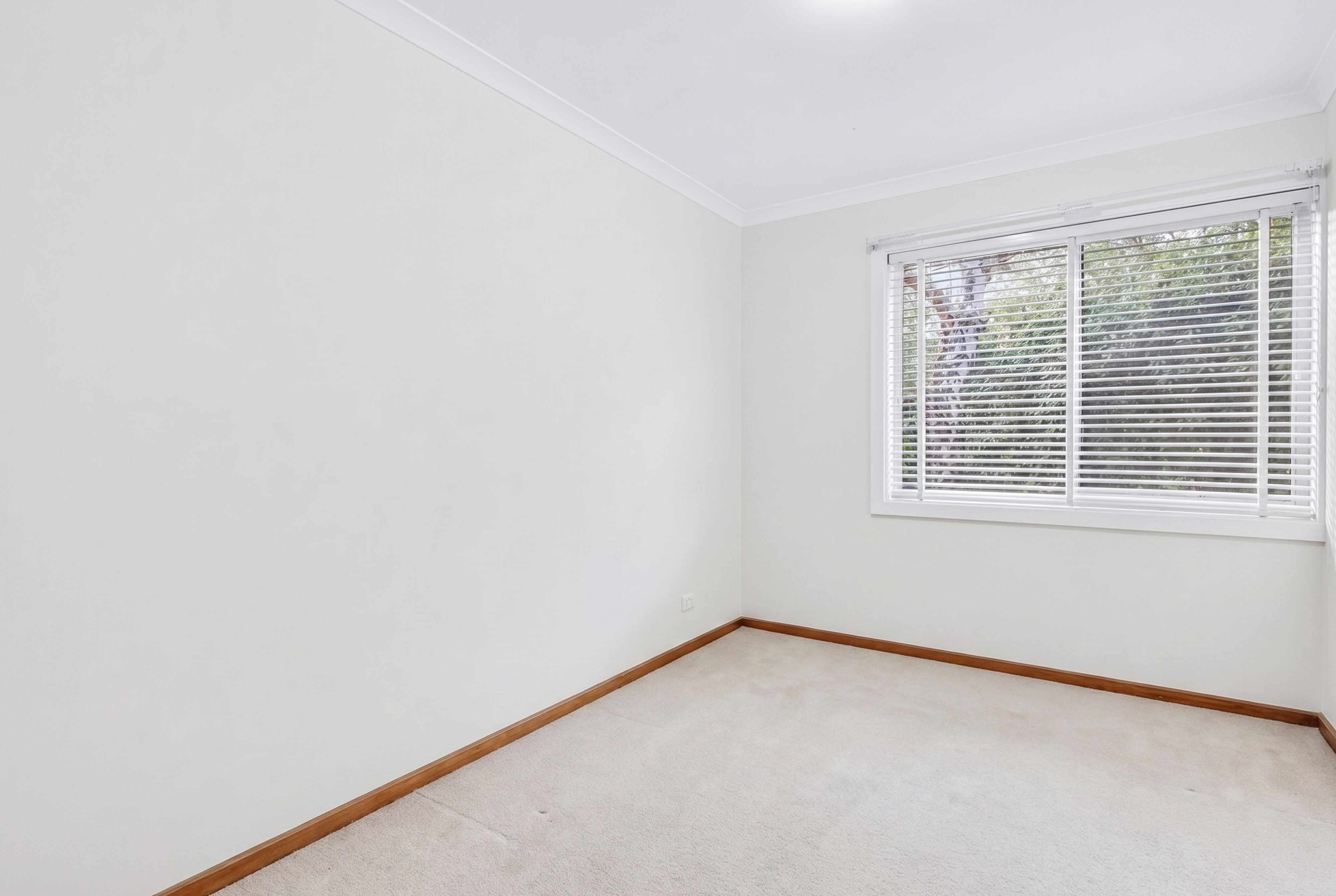 8 Oliver Street, Lyneham ACT 2602, Lyneham - Thumbnail 8