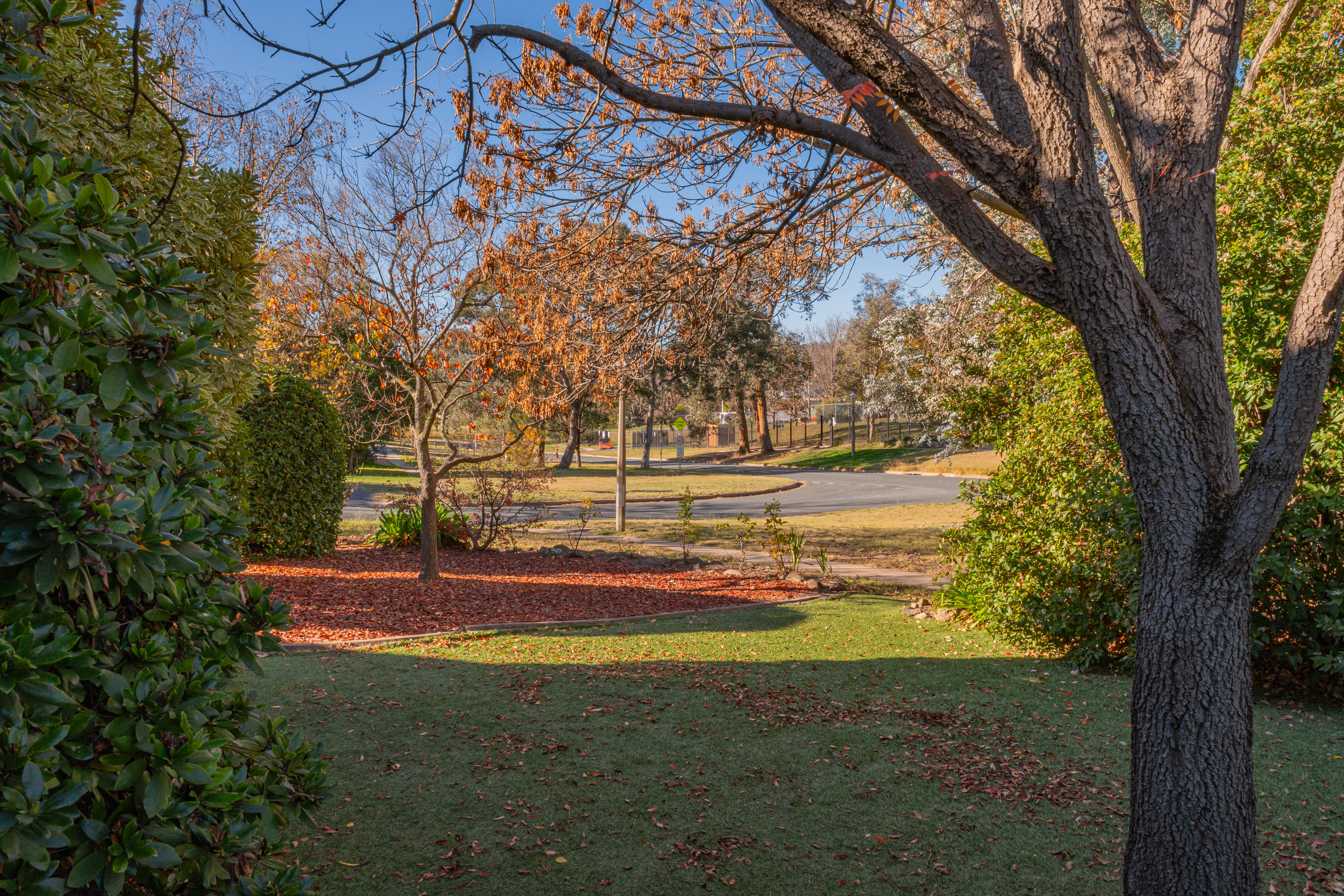 88 Batchelor Street, Torrens ACT 2607, Torrens - Thumbnail 3
